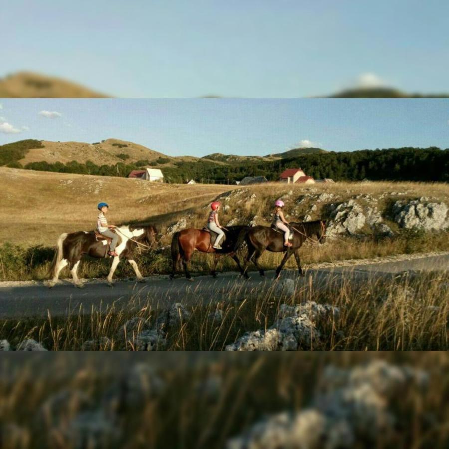 Rural Resort Tron Plužine Exteriér fotografie